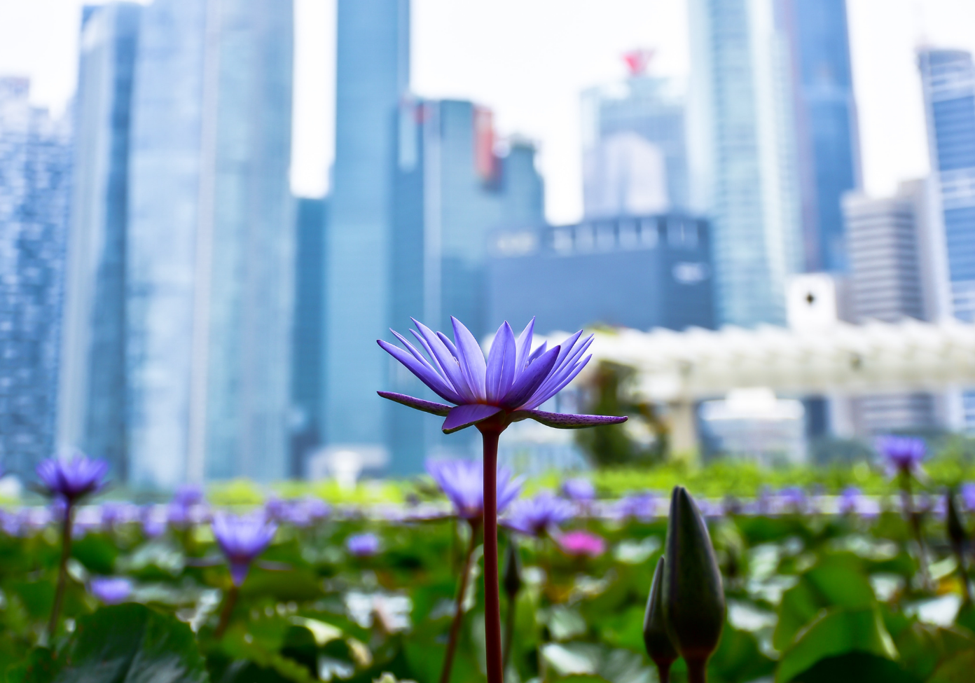 Sustainable_Design_04