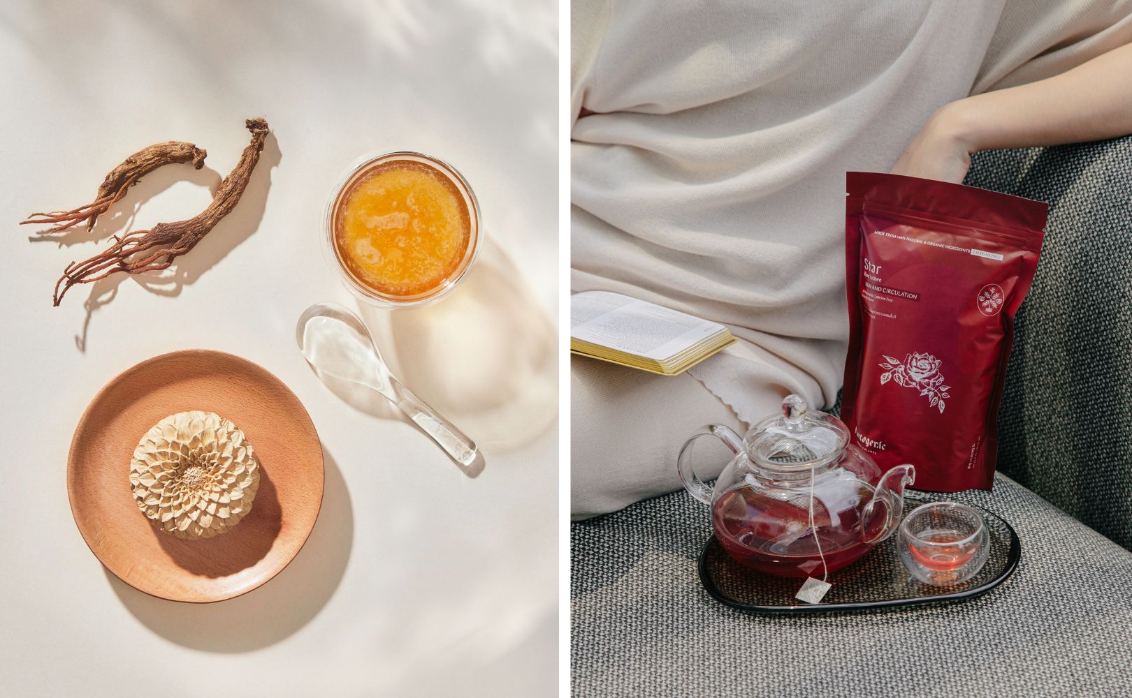 Wellness_02