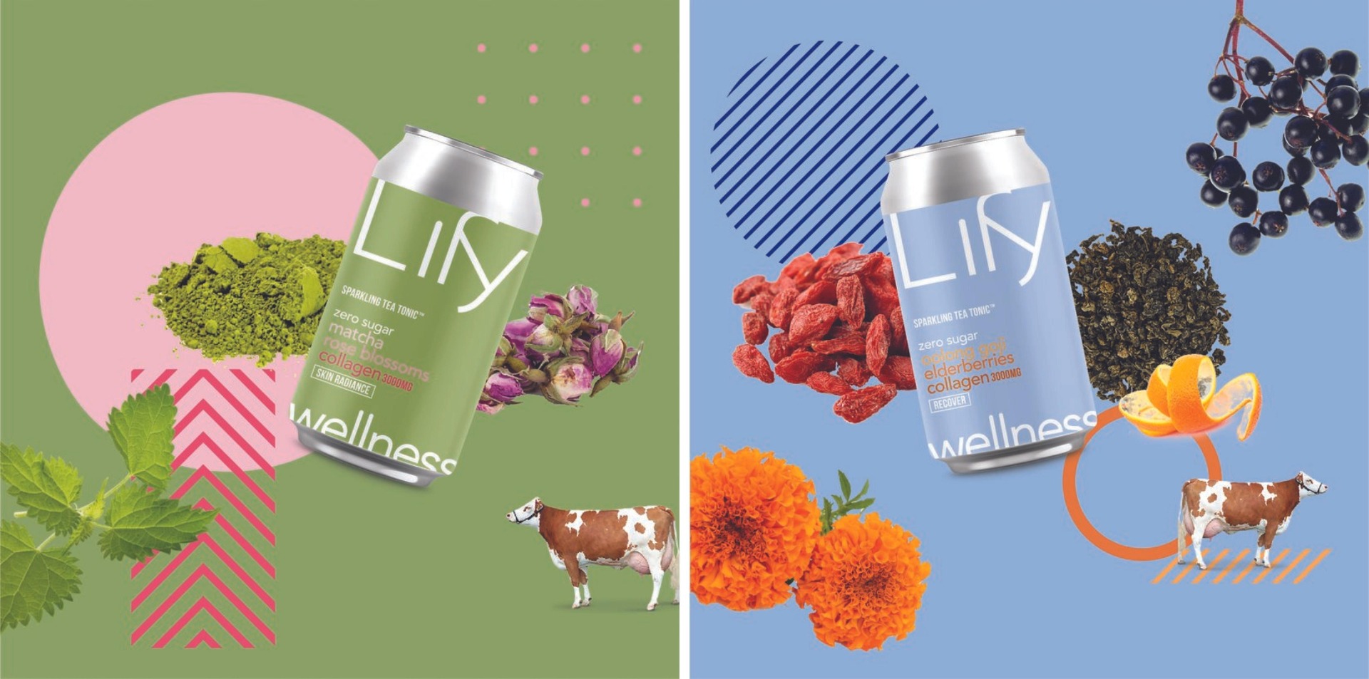 Lify Wellness_03