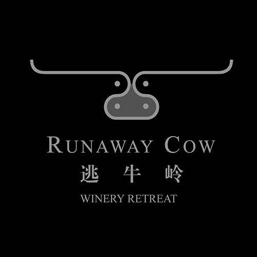 Runaway Cow Runaway Cow