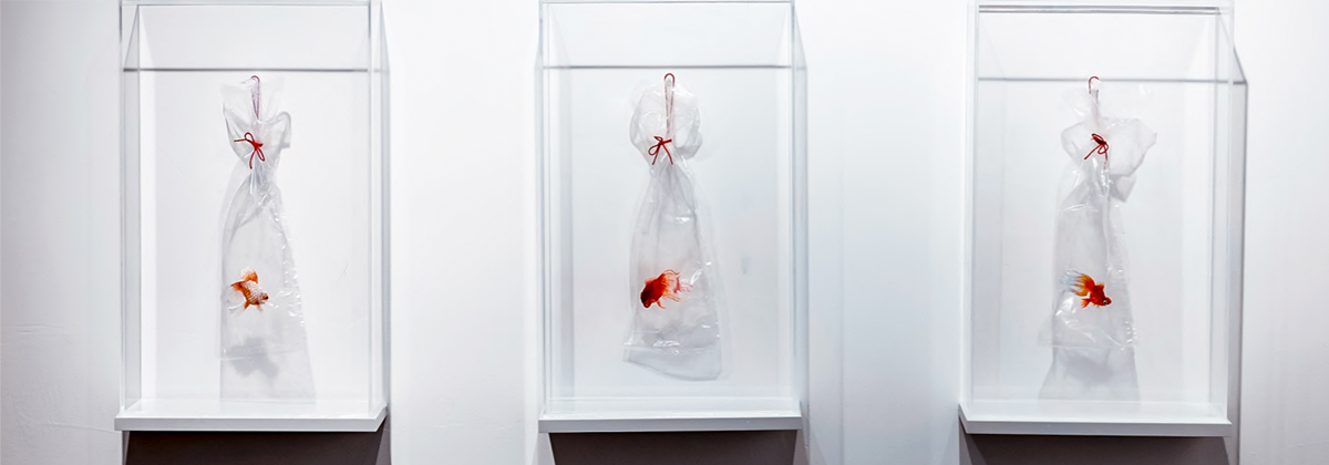 Angel Hui Hoi Kiu Angel Hui Hoi Kiu