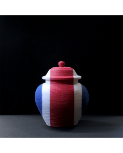 Back to the Future - Vase 9, Red White Blue Series