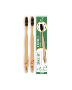Plantable Toothbrush (Paper Packaging) - 2 Toothbrushes