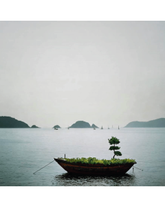 Heaven on Earth - Repulse Bay