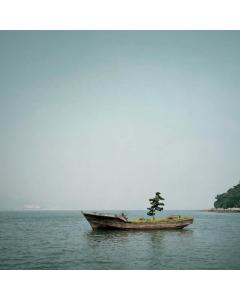 Heaven on Earth - Shenzhen