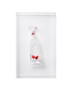 Embroidered Plastic Bag – Twins #2