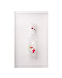 Embroidered Plastic Bag – Twins #3