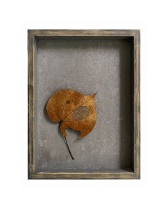 What Do I See When I See a Fallen Leaf? (I)