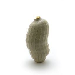 Transition Mutatio Vase II