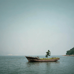 Heaven on Earth - Shenzhen