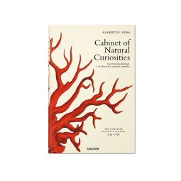 Cabinet of Natural Curiosities