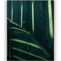 The Texture of Color 203 