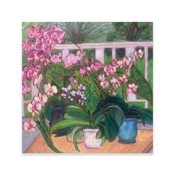 Orchids on the Veranda