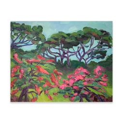 By the Bougainvilleas at the Botanic Gardens