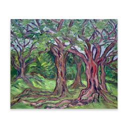 Rain Trees at Wessex Estate