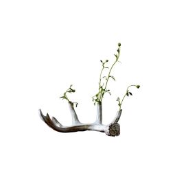 Antler Vase