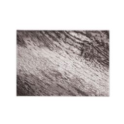 Tropical Collection (Bark Rug)