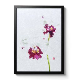 Cattleya Blc. Memtiang