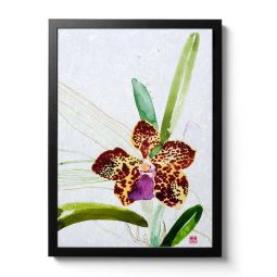 Vanda Kultana Fragrance