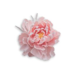 Coral Pink Peony Ceramic Sculpture (Regular)