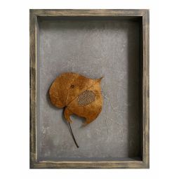 What Do I See When I See a Fallen Leaf? (I)