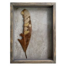 What Do I See When I See a Fallen Leaf? (II)