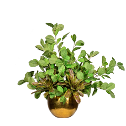 Greens Floral Arrangement