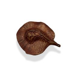 Angsana Seed