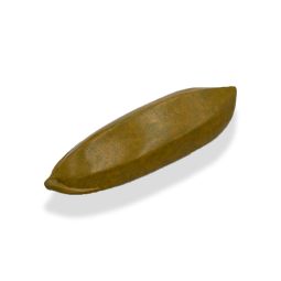 Golden Rice Grain