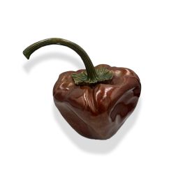 Aaron (Chilli)