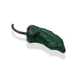 Baby Asana 2 (Green Chilli)