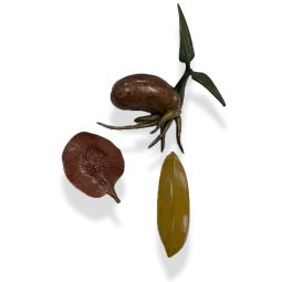 Daybreak 3, Golden Rice Grain + Angsana Seed (Set of 3)
