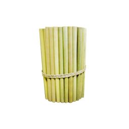 Bamboo Straw (Bundle of 100pcs: Bubble or Milk Tea)