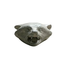 Raccoon Bust