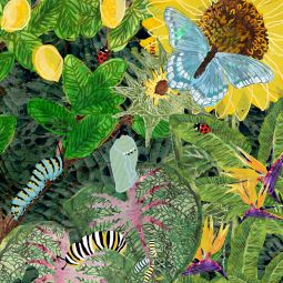 Secret Garden: The Garden by Afi Sulaiman