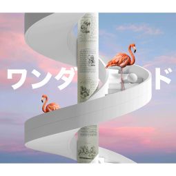 Wonderland by Ellis Khan