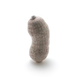 Transition Vultus Vase